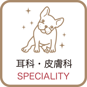 耳鼻・皮膚科